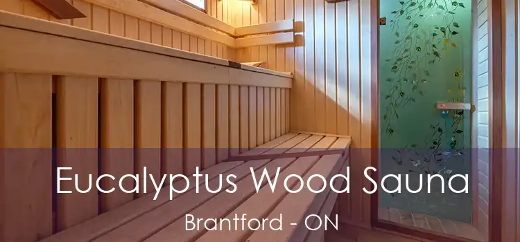  Eucalyptus Wood Sauna Brantford - ON