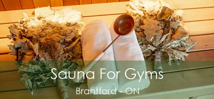  Sauna For Gyms Brantford - ON