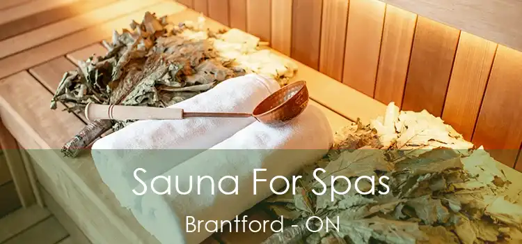  Sauna For Spas Brantford - ON