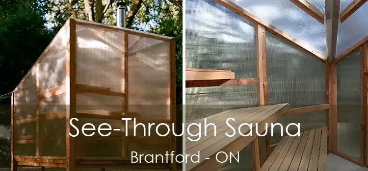  See-Through Sauna Brantford - ON